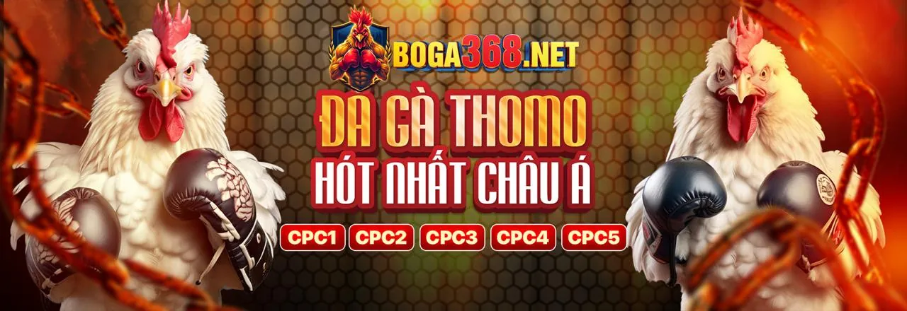 Tính công bằng trong quy tắc trò chơi rr99 đăng nhập